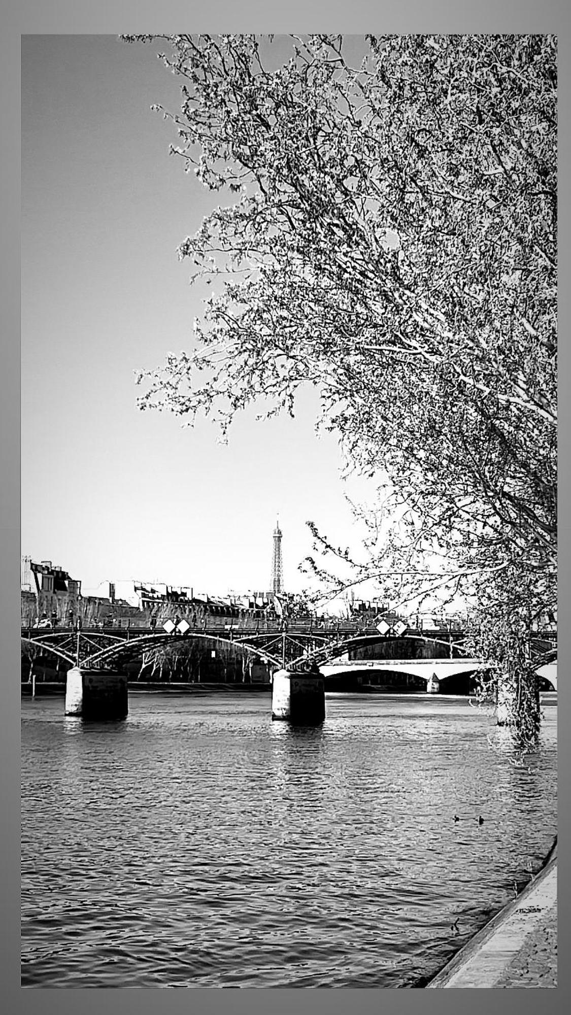 Standing Terrasse 10 Min De Paris * Vitry-sur-Seine